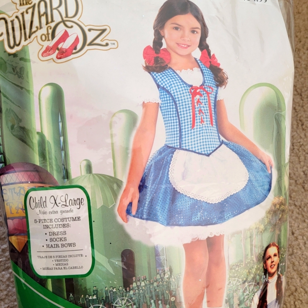 Child Dorothy Costume